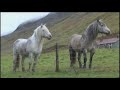 Hooked UK - Autumn Salmon fishing on the River Tilt with Greig Thomson & Andy Richardson.mp4