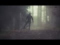 Powerslide Nordic - XC Trainer Skates 2012