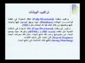 تصميم صفحات الويب - الدرس 61 