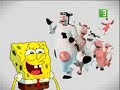 spongpop...cartoons on mbc3
