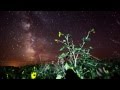 Surah Al-Fatiha, Al-Ikhlas, Al-Falaq, An-Nas, Ayat Al-Kursi & Dua