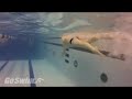 Sample Video (GoSwim.tv)