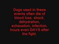 Re: "Knock Out Animal Fighting" YouTube Video Contest Thumbnail