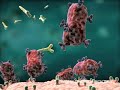 2008 Nucleus 3D Medical Animation Demo Reel