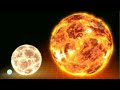 Largest star ever discovered, compared to our Sun