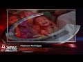 Rvision Daily News 15 June 2013
