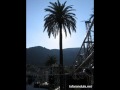 PALMERA - Marco de Carlo