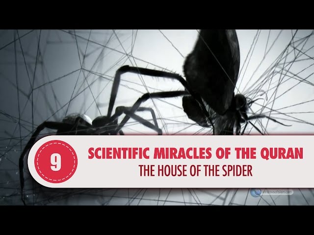  The House of the Spider