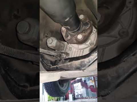 Location of the gear oil seal in BMW E46