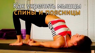 И.м. данилова. в своей книге остеохондроз для профессионального пациента