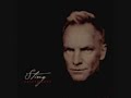 Sting - Whenever I Say Your Name