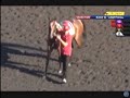2013 Arlington Million - Real Solution