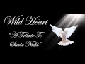 Wild Heart - A Tribute To Stevie Nicks Stop Dragging My Heart Around a cover