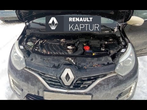 Renault Kaptur: какие технические жидкости заливать (доливать) в автомобиль