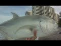 Saltwater Fishing - Giant Jack Crevalle
