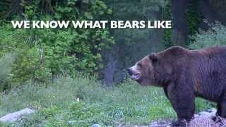 VIDEO: Woodland Park Zoo outdoes itself with the best bear safety video ever