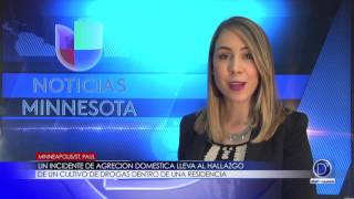 Un incidente de agresión domestica lleva al hallazgo  de un cultivo de drogas dentro de una residencia