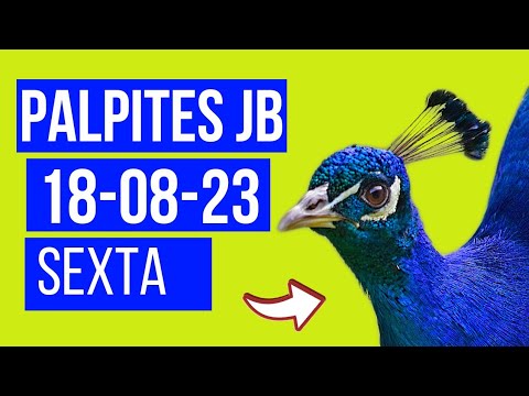 Palpites para jogo do bicho de Sexta-feira 18/08/2023 