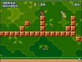 Jugando Mi juego de super mario bros flash + reto