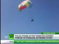 Video choc en Russie : un ane accroche a un parachute ascensionnel choque les touristes !