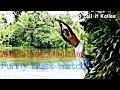 Welcome to The LAND OF LUNGI Malayalam Funny Song...!! Must Watch..!!
