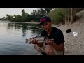 Bait works so good, should be ILLEGAL to use. Lip RipperZ Hatchery Dust.