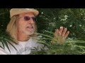 Jorge Cervantes: Humboldt Local 2011 Medical Marijuana / Cannabis (Part 1)