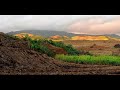 Paké Dibwa (Séga Mauricien 2012) - Grup Latanier