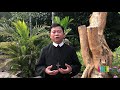 Thứ Tư 03.10.2018: TỪ BỎ ĐỂ THEO CHÚA