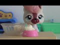 LPS: Cooking With Lauren - BIRTHDAY CAKE!