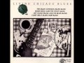 carey bells blues harp band laundromat blues