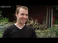 Cat cuddles kittens and adopted ducklings - Animal Odd Couples: Episode 1 Preview - BBC One