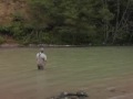 The Snake Roll - Spey Cast
