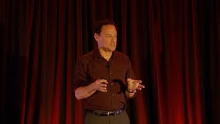 Dr. David Diamond - 'An Assessment of Cardiovascular Risks of a Low Carbohydrate, High Fat Diet'