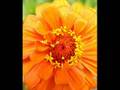 دعاء جميل beautiful doua-un beau douaa