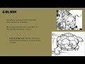 Pokemon History - Trainer Yellow