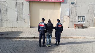 Jandarmadan aranan hırsıza tarlada şafak operasyonu EDREMİT