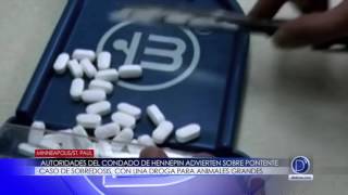 Autoridades del condado de Hennepin advierten sobre potente caso de sobredosis, relacionados con una droga para animales grandes