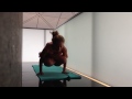 Hong Kong Airport Yoga: Last Three Postures with Kino