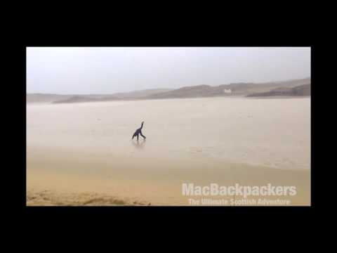 What happens when you set the guides free at the beach...