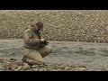 Salmon fishing in Iceland with underwater camera