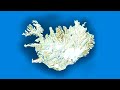 Salmon fishing in Iceland with underwater camera