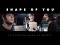 Ed Sheeran - Shape Of You Tyler & Ryan ft. Jannine Weigel
