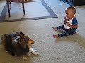Excited dog makes baby laugh!