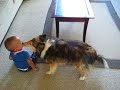 Excited dog makes baby laugh!