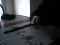wand making 101 Magic Video