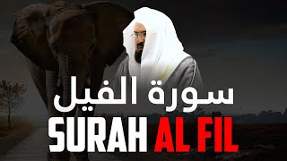 Surah Al-Fil سورة الفيل - Ramadan 2021 | رمضان 1442 with English Translation #shorts