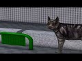 Quantum Mechanics: Animation explaining quantum physics.