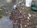 gold mining a small creek bed...