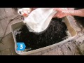How to Grow Mushrooms